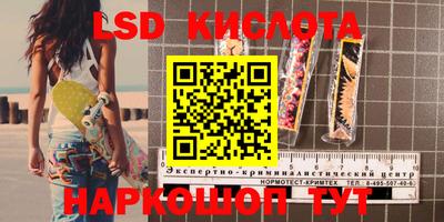 гидропоника Камышлов