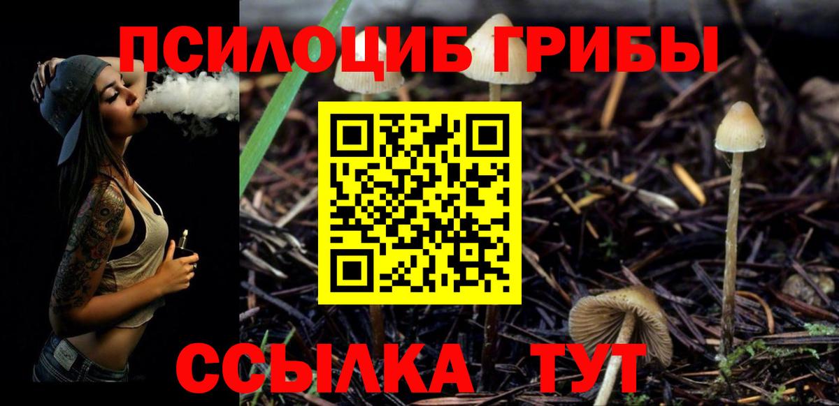 Псилоцибиновые грибы Magic Shrooms Краснодар
