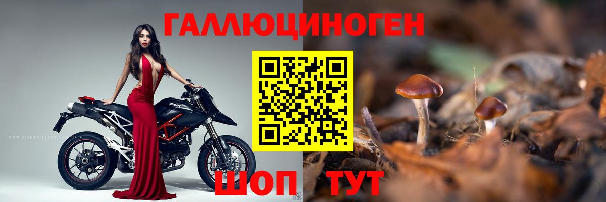 Краснодар  Псилоцибиновые грибы Psilocybine cubensis  Вход с VPN  Псилоцибиновые грибы прущие грибы 